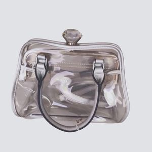 Tracy Lynn Clear Satchel With Diamond Closer